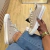 Allstar Shine Premium - loja online