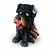 Coleção My Beautiful Pet Com Bebedouro - loja online