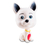 Doutor Canino Pet