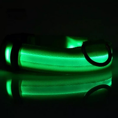 Collar Luz Led Para Mascotas | Ajustable en internet