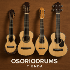 Banner de la categoría OTROS INSTRUMENTOS DE CUERDAS