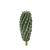 Cacto Artificial