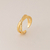 Anillo Orión en internet