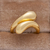 Anillo Chiara en internet