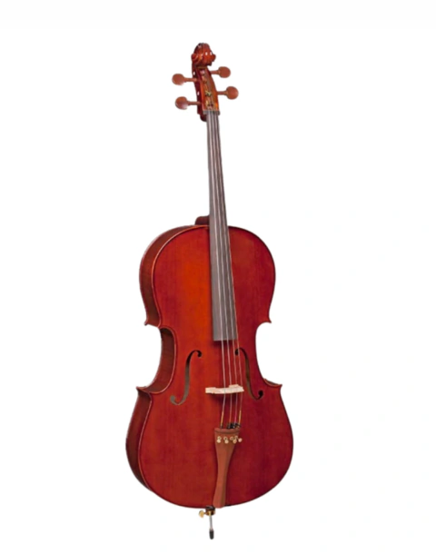 VIOLONCELO EAGLE 4/4 CE200 AJUSTADO POR LUTHIER PROFISSIONAL
