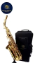 SAXOFONE ALTO DREAMER FT6430L EB - loja online