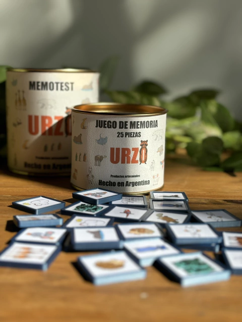 Juego de memoria de 25 piezas