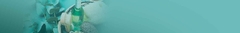 Banner da categoria Corpo e Banho