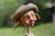 Duende Cecilia - comprar online