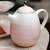 Juego Vajilla Te Cafe Moderno 4personas Porcelana Hermoso Rosa - Lux Home México 