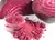 Farinha de Beterraba (200g pacote) Paiol - comprar online