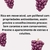 Óleo de Semente de Uva Bellaphytus 100ml na internet