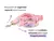 Correa Ancha Guapetones - comprar online