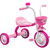 Triciclo Infantil Nathor You 3 Girl - Rosa>>Branco