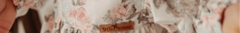 Banner de la categoría Ver Todo