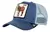 Gorra Goorin Bros Ass Ajustable Original - comprar en línea