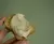 Queijo vegano cremoso defumado (bisnaga) na internet