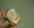 Queijo vegano cremoso defumado (bisnaga) - Folha - P.E. na internet