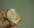 Queijo Vegano Cremoso Defumado (bisnaga) - Folha Vegana - Produto Fresco - Rancho | Compras Coletivas