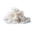 Chips de coco
