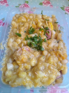LOCRO CRIOLLO - comprar online