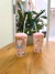 Vaso Kittycorn