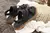 Sandalias Alida - comprar online