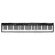 Piano Studiologic Numa Compact 2X 88 Teclas Semi Pesadas