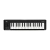 Controlador Korg Microkey 2 Midi Usb De 37 Teclas