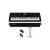Teclado Organo Casio Ct-x3000 Sensitivo + Fuente + Soporte