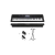 Teclado Casio Organo Ct-x800 Sensitivo + Fuente + Soporte