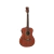 Guitarra Electroacústica Eko DUO A200e Fishman Flex Plus T