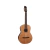 Guitarra Electro Clásica Godin Etude Clasica II Fishman en internet