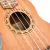 Imagen de Ukelele Soprano Aston Reed AU07-21 Cuerdas Aquila Caoba Con Funda