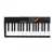 Piano Studiologic Numa Compact 2X 88 Teclas Semi Pesadas