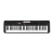 Teclado Casio Casiotone CT-S195 De 5 Octavas