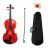 Violin Palatino PV-4/4 Estudiante 4/4 con Arco Estuche Resina - Rojo