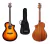 Guitarra Electrocustica Breedlove Dsd21ces + Funda Original