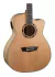 Guitarra Electroacustica Washburn Ag40ce Cuerda Metal Nat