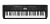 Teclado Ringway Tb100 5 Octavas Sensitivo 61 Teclas 5 Octavas 129 Voces 32 Polifonia 100 Ritmos con Fuente