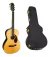 Guitarra Electroacustica Fender Paramount Pm2 Parlor Fishman