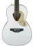 Guitarra Electroacustica Gretsch G5021wpe Rancher Penguin