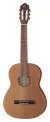 Guitarra Clasica De Concierto Ortega Criolla R122 Con Funda