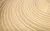 Platillo Paiste Hi Hat De 14 Pulgadas Modelo PST3 Series en internet