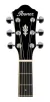 Guitarra Electro Acustica Ibanez Aeg10 Fishman Negro