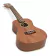 Ukelele Cordoba 20cm Concierto Caoba Roseta Natural en internet