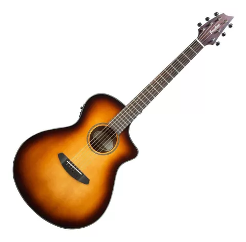 Guitarra Electrocustica Breedlove Dsd21ces + Funda Original