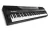 Alesis Piano Digital 88 Notas Teclado Tipo Piano Coda-pro