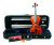 Violin Palatino PV-650 Profesional 4/4 con Arco Estuche y Resina