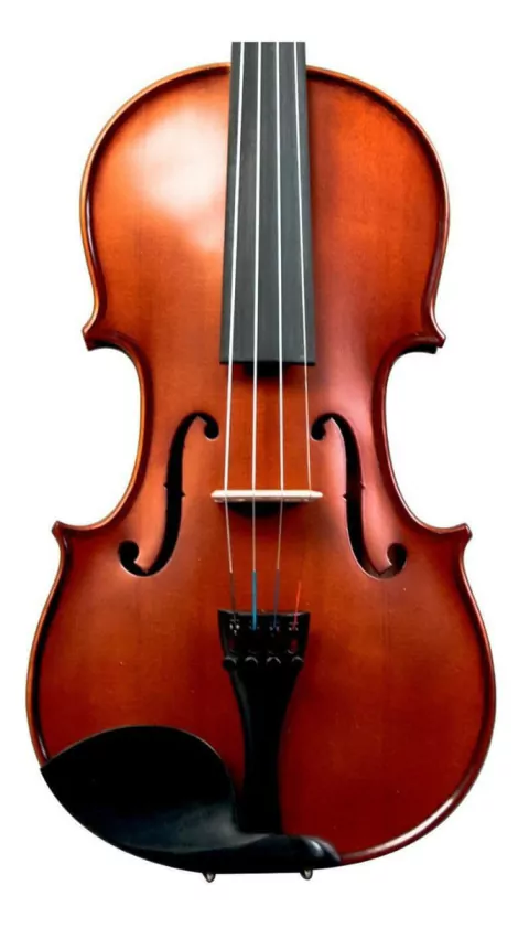 Violin Palatino PV-650 Profesional 4/4 con Arco Estuche y Resina